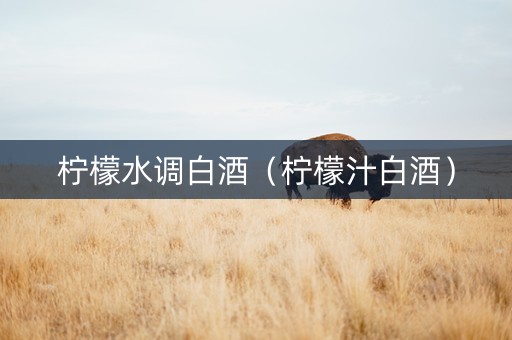 柠檬水调白酒（柠檬汁白酒）