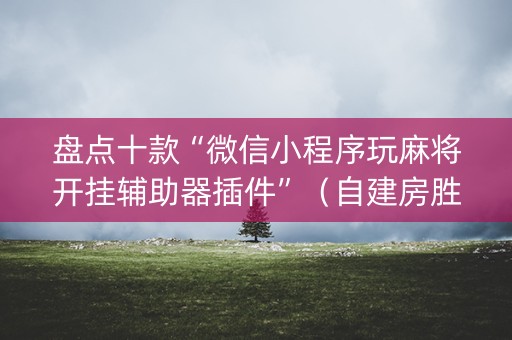 盘点十款“微信小程序玩麻将开挂辅助器插件”（自建房胜负规律)