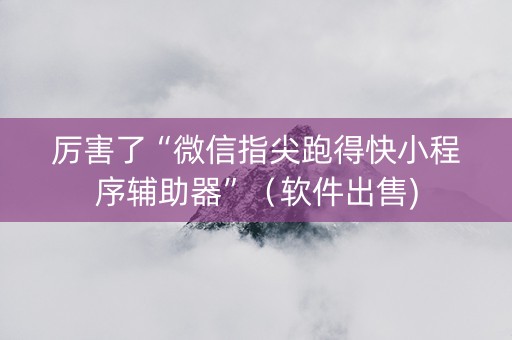 厉害了“微信指尖跑得快小程序辅助器”（软件出售)