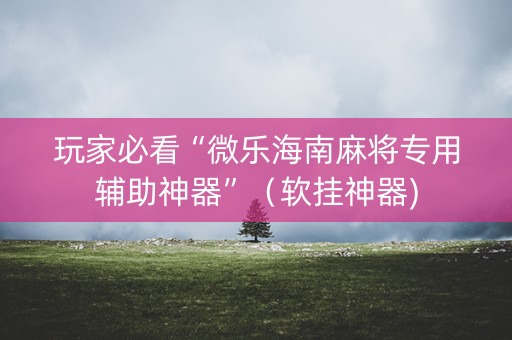 玩家必看“微乐海南麻将专用辅助神器”（软挂神器)