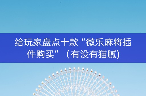 给玩家盘点十款“微乐麻将插件购买”（有没有猫腻)