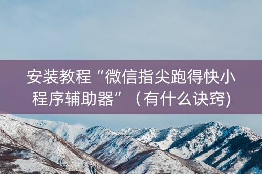 安装教程“微信指尖跑得快小程序辅助器”（有什么诀窍)