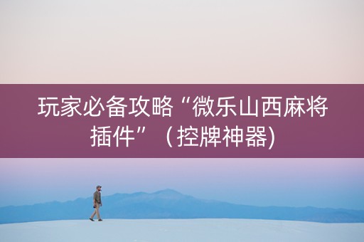 玩家必备攻略“微乐山西麻将插件”（控牌神器)