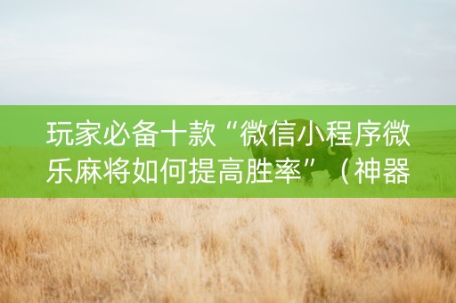 玩家必备十款“微信小程序微乐麻将如何提高胜率”（神器最新免费)
