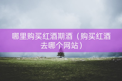 哪里购买红酒期酒（购买红酒去哪个网站）