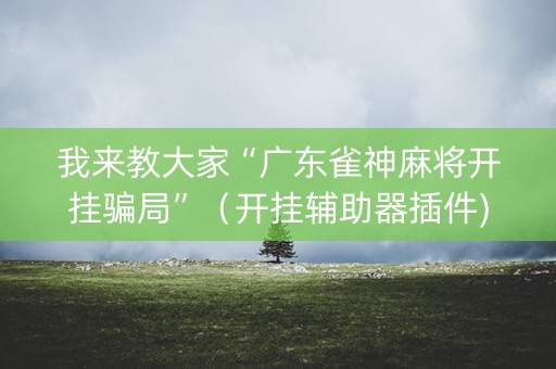 我来教大家“广东雀神麻将开挂骗局”（开挂辅助器插件)