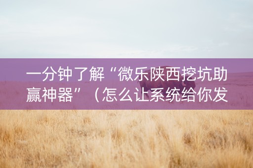 一分钟了解“微乐陕西挖坑助赢神器”（怎么让系统给你发好牌)