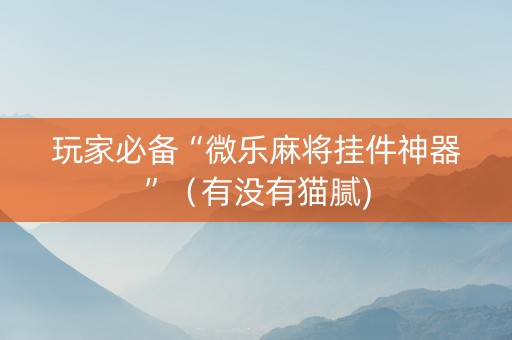 玩家必备“微乐麻将挂件神器”（有没有猫腻)