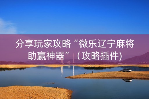 分享玩家攻略“微乐辽宁麻将助赢神器”（攻略插件)
