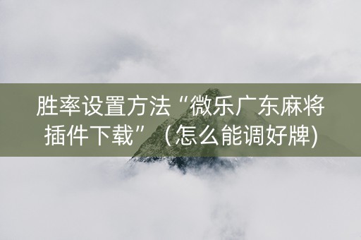 胜率设置方法“微乐广东麻将插件下载”（怎么能调好牌)