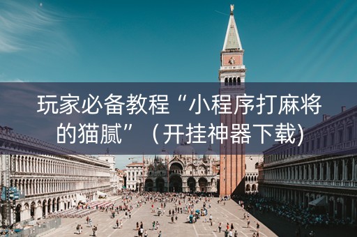 玩家必备教程“小程序打麻将的猫腻”（开挂神器下载)