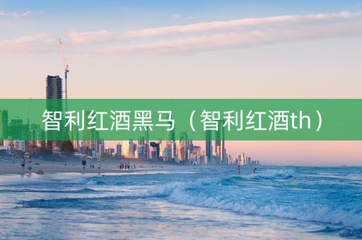 智利红酒黑马（智利红酒th）