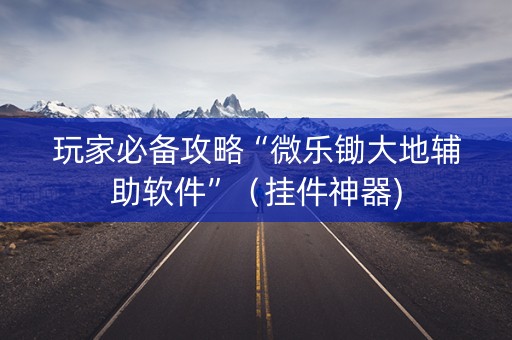 玩家必备攻略“微乐锄大地辅助软件”（挂件神器)