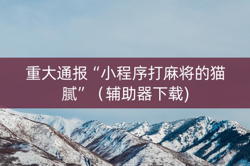 重大通报“小程序打麻将的猫腻”（辅助器下载)
