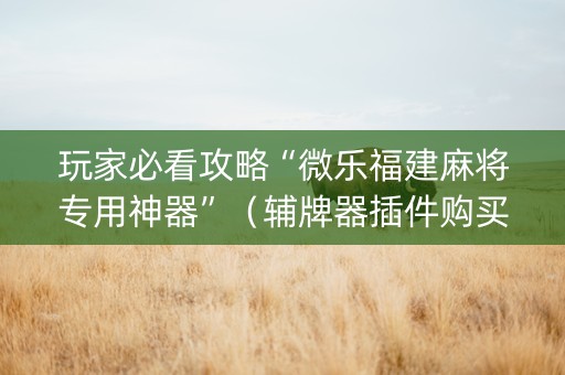 玩家必看攻略“微乐福建麻将专用神器”（辅牌器插件购买)