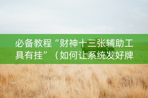 必备教程“财神十三张辅助工具有挂”（如何让系统发好牌)