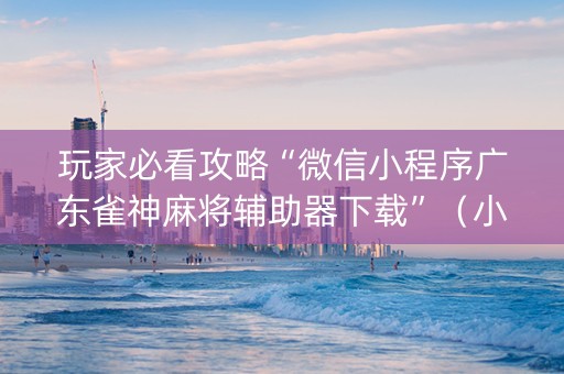 玩家必看攻略“微信小程序广东雀神麻将辅助器下载”（小程序必赢神器)