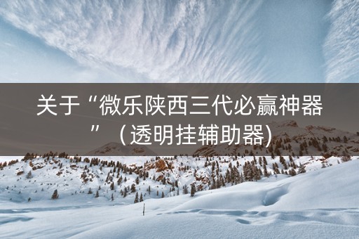 关于“微乐陕西三代必赢神器”（透明挂辅助器)