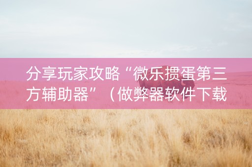 分享玩家攻略“微乐掼蛋第三方辅助器”（做弊器软件下载)