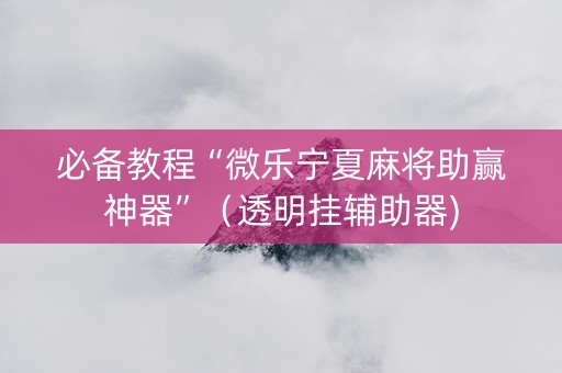 必备教程“微乐宁夏麻将助赢神器”（透明挂辅助器)