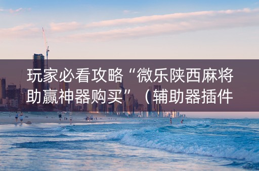 玩家必看攻略“微乐陕西麻将助赢神器购买”（辅助器插件)
