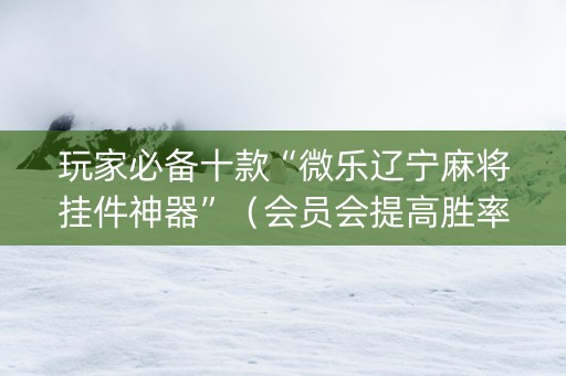 玩家必备十款“微乐辽宁麻将挂件神器”（会员会提高胜率吗)