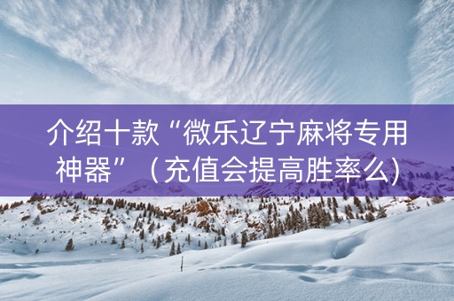 介绍十款“微乐辽宁麻将专用神器”（充值会提高胜率么)
