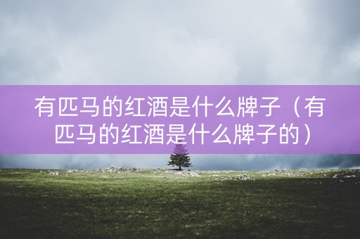 有匹马的红酒是什么牌子（有匹马的红酒是什么牌子的）