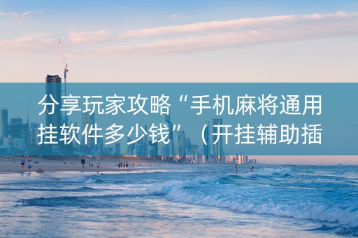 分享玩家攻略“手机麻将通用挂软件多少钱”（开挂辅助插件)