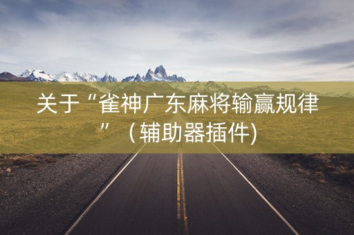 关于“雀神广东麻将输赢规律”（辅助器插件)