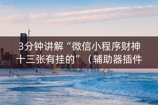 3分钟讲解“微信小程序财神十三张有挂的”（辅助器插件)