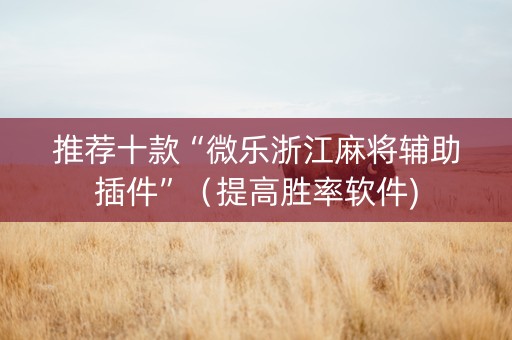 推荐十款“微乐浙江麻将辅助插件”（提高胜率软件)