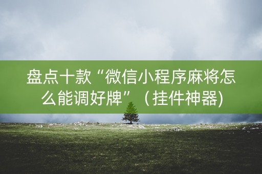 盘点十款“微信小程序麻将怎么能调好牌”（挂件神器)