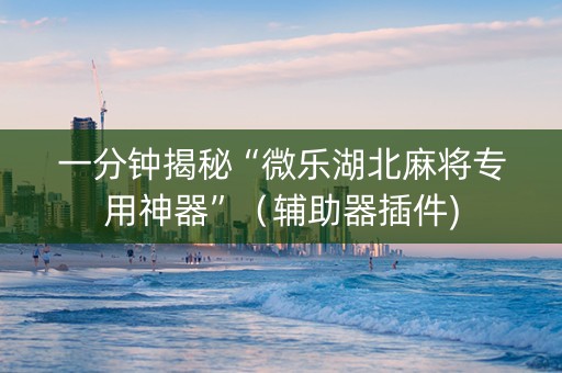 一分钟揭秘“微乐湖北麻将专用神器”（辅助器插件)