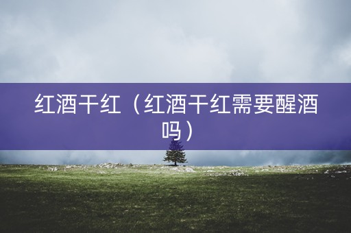 红酒干红（红酒干红需要醒酒吗）