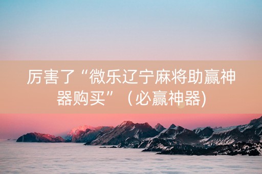 厉害了“微乐辽宁麻将助赢神器购买”（必赢神器)