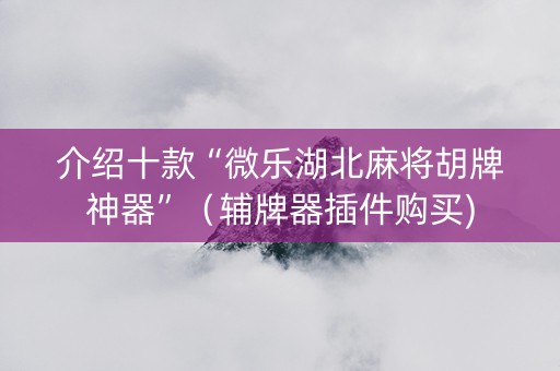 介绍十款“微乐湖北麻将胡牌神器”（辅牌器插件购买)