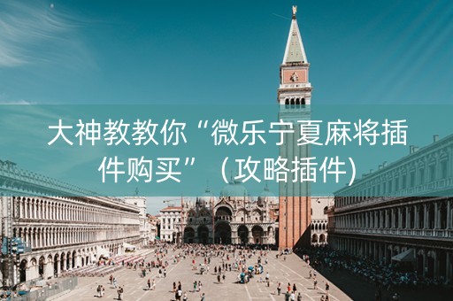 大神教教你“微乐宁夏麻将插件购买”（攻略插件)