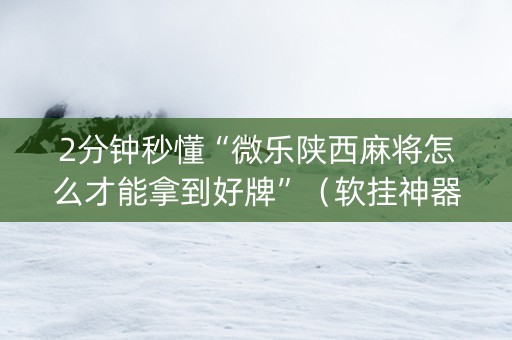 2分钟秒懂“微乐陕西麻将怎么才能拿到好牌”（软挂神器)