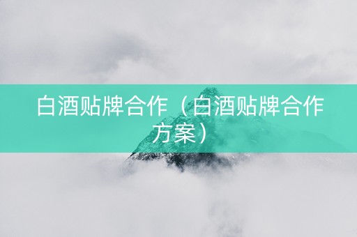 白酒贴牌合作（白酒贴牌合作方案）