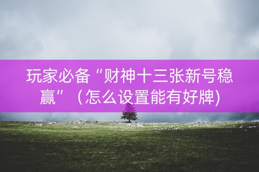玩家必备“财神十三张新号稳赢”（怎么设置能有好牌)