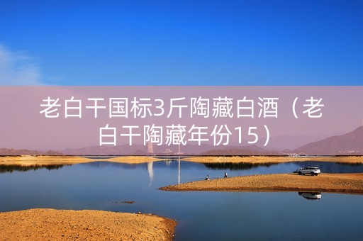 老白干国标3斤陶藏白酒（老白干陶藏年份15）