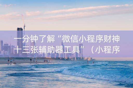 一分钟了解“微信小程序财神十三张辅助器工具”（小程序控牌器)