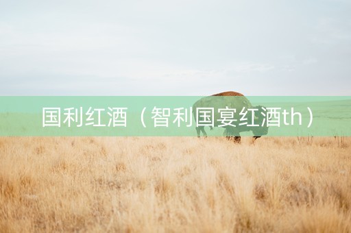 国利红酒(智利国宴红酒th) 国利红酒(智利国宴红酒th)