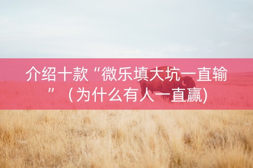 介绍十款“微乐填大坑一直输”（为什么有人一直赢)
