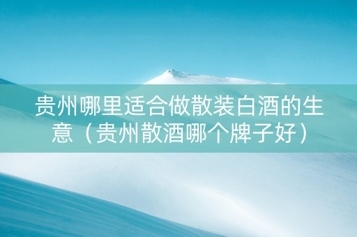 贵州哪里适合做散装白酒的生意（贵州散酒哪个牌子好）