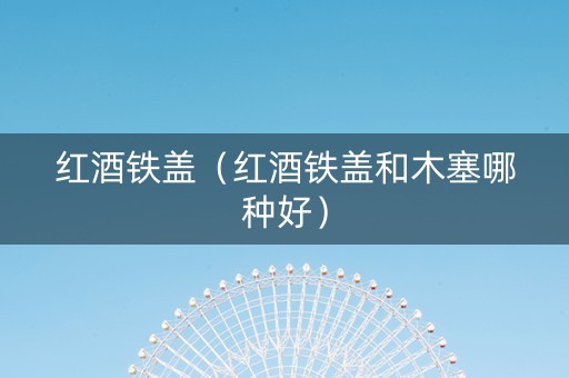 红酒铁盖（红酒铁盖和木塞哪种好）