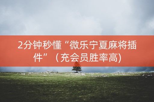 2分钟秒懂“微乐宁夏麻将插件”（充会员胜率高)