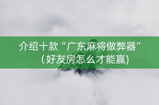 介绍十款“广东麻将做弊器”（好友房怎么才能赢)