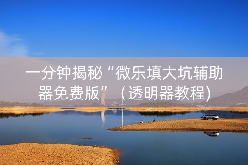 一分钟揭秘“微乐填大坑辅助器免费版”（透明器教程)